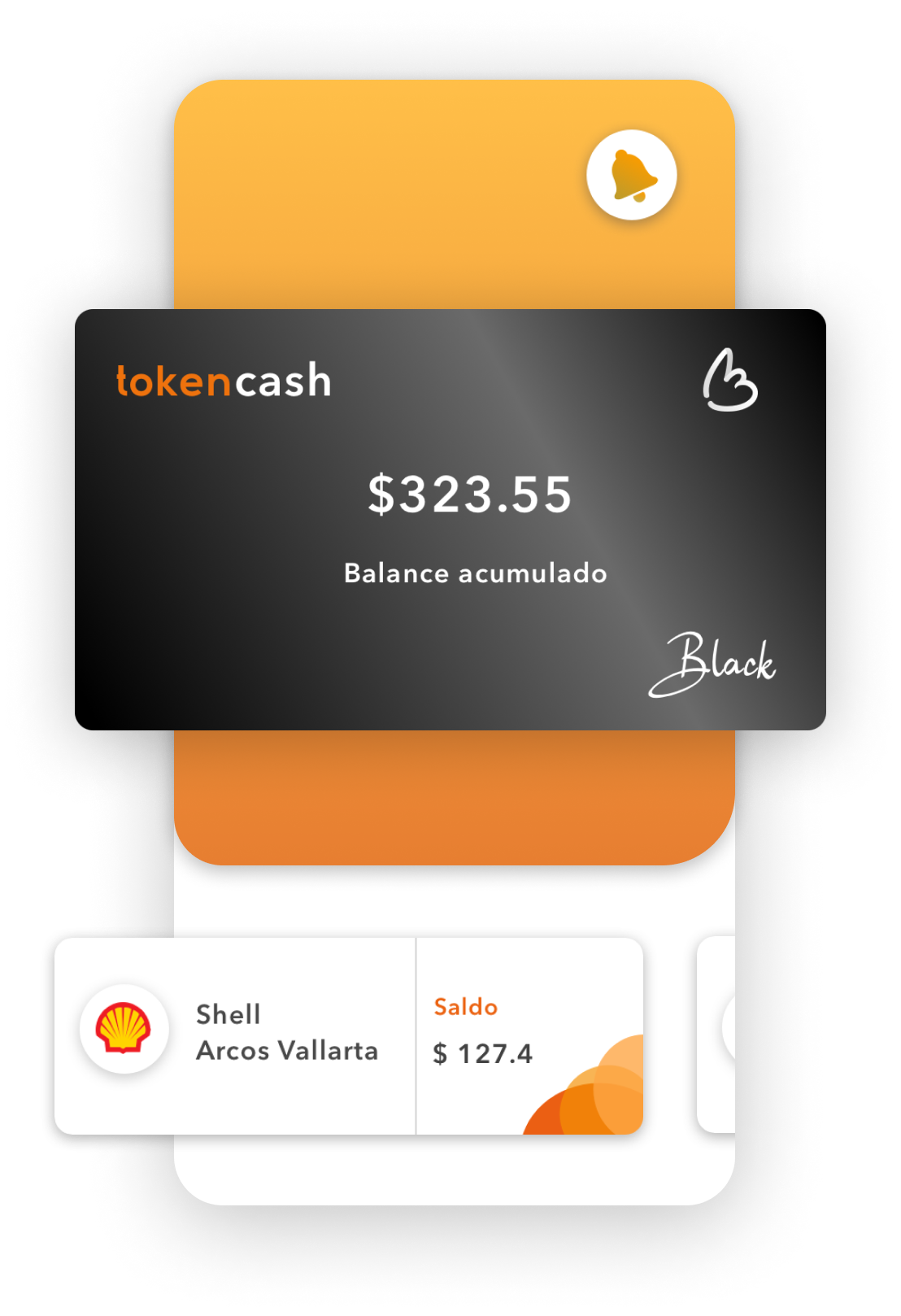 Experiencia empresarial TokenCash